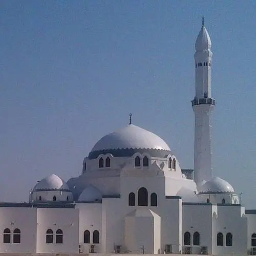 Ajwa Tours