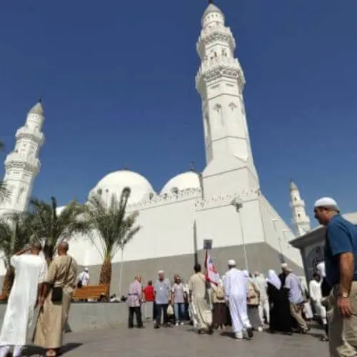 Ajwa Tours