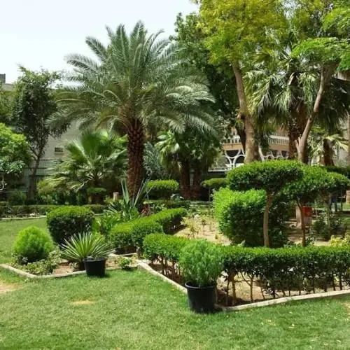 Ajwa Tours